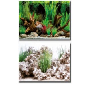 FOND DOUBLE WONDER BLISTE