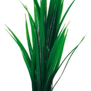 PLANT CLASSIC BAMBOO