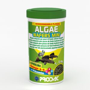 ALGAE WAFER