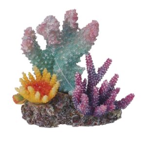 REEF DREAM 2