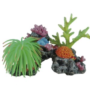 REEF FANTASY