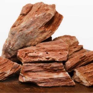 ROCHE BOIS FOSSILE S 10-20 CM.