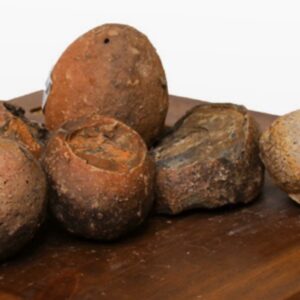 ROCHE OEUFS DE DINOSAURE