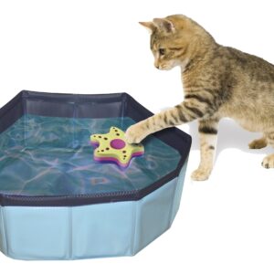 JEU PISCINE POUR CHAT 30x10 cm