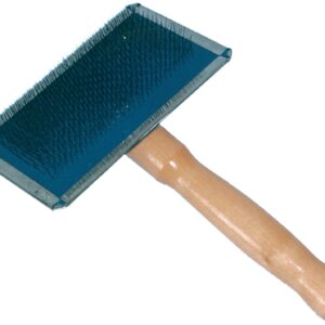 BROSSE CARDE GÉANT