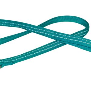 LAISSE NYLON SOFT REFLECTIF