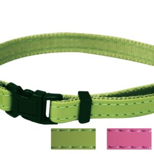 COLLIER POUR CHAT GLOSSY