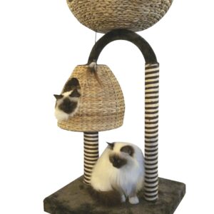 ARBRE A CHAT NATURAL AZALEA 50x50x95,5 cm