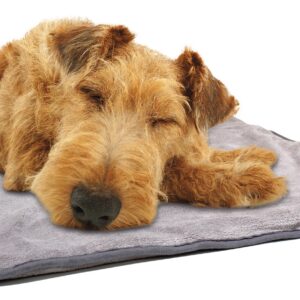 TAPIS CARESS 100x70 cm