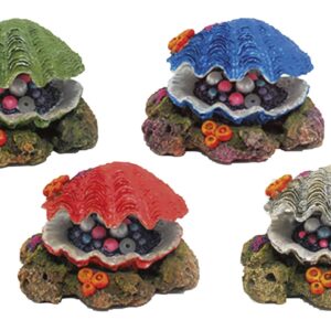 BEAUTY ORN, COQUILLAGE MIXTE