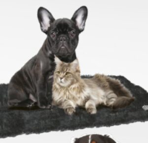 TAPIS RECHAUFFANT FURRY BLACK 48x38cm