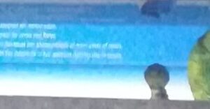 Ancien Emballage LAMP.ACTINIC POWER T8 36W 1E