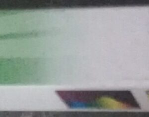 FIN DE STOCK FLORA GLO 40W 104,7CM