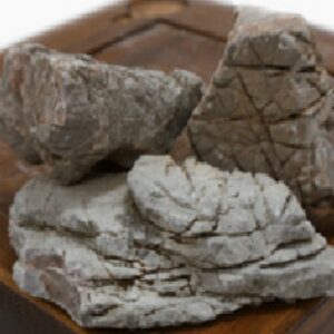 ROCK BLACKISH LICHEN SM