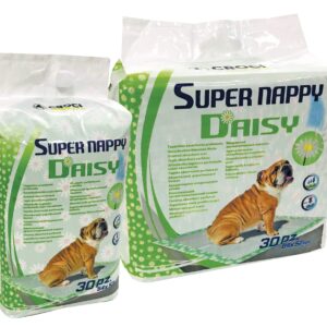 TAPIS EDUCATION DAISY