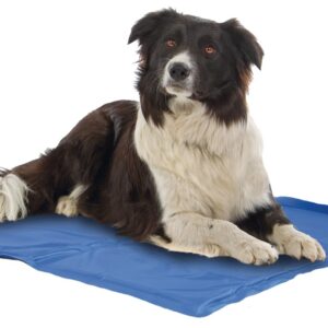 TAPIS RAFFRAICHISSANT