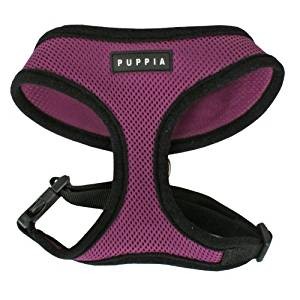 Harnais Puppia mauve xs