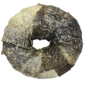 BBQ PARTY DONUT W/FISH SKIN 9cm