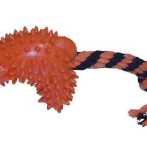 COTTON BONE W/RUBBER TPR SCARY CAT 25cm