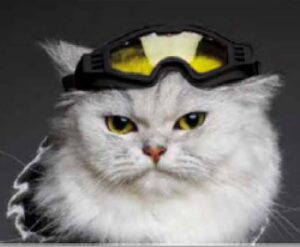 SKI GLASSESHORIZON BLACK