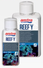 AMTRA REEF Y