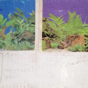 SFONDO DOPPIO DOLCE CM.50 X 15 MT.