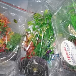 PLANT ROCHE 1 ASSORTIES AVEC VENTOUSE