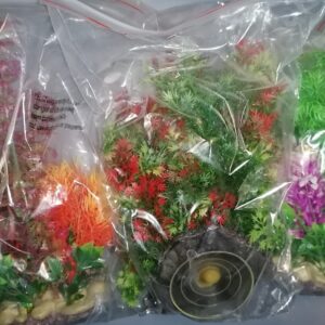 PLANT SUR ROCHE 3 ASSORTIES AVEC VENTOUSE