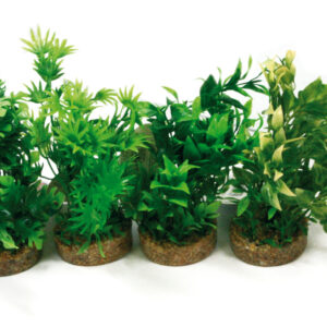 DECO PLANT AMAZON SMALL .