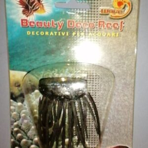 BEAUTY SEA ANEMONE ARANCIONE