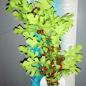 BEAUTY PLANTS MAGNIFICENS SP.LARGE