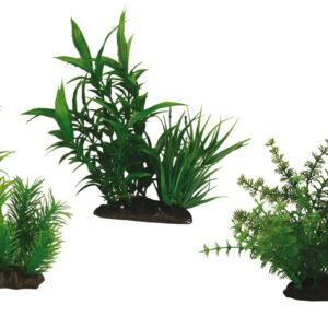 JAPANESE SET 2 SERIES