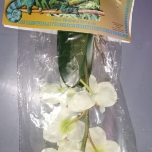 Orchid, white-yellow 6 Flowers, 25 cmPolyester