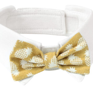 COLLAR PINA COLADA S