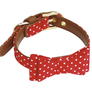 COLLAR POP ROY RED 1x25 cm