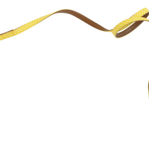 LEASH POP KEITH YELLOW 1,5x120 cm