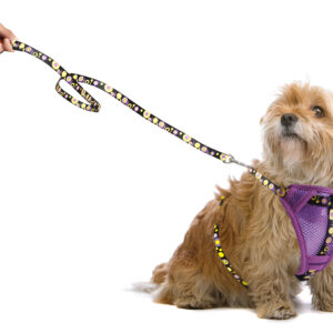 PADDED NYLON PARURE L/H XS PURPLE