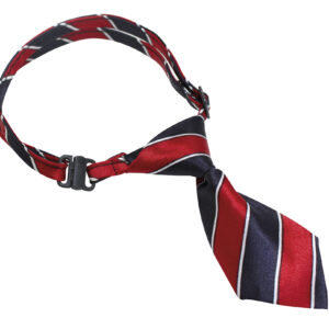 TIE FOR DOGS ASS. 10x5 cm