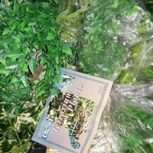 LOT 10 LIERRE emballage à enlever