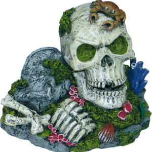BEAUTY ORN.ACTION SKULL WITH CRAB