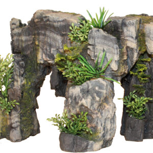 RAINFOREST STONE WITH PLANTS