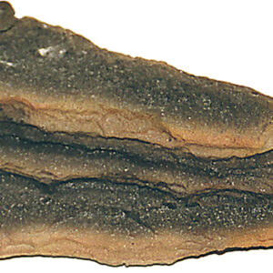 BEAUTY ORN. ROCCIA PAGODA BASE .