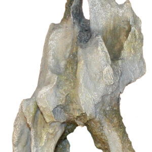 RAINFOREST PETITE ROCHE