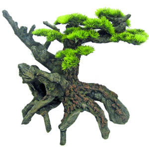 JAPAN BONSAI