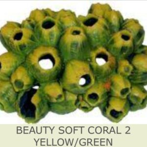 BEAUTY SOFT CORAL 2