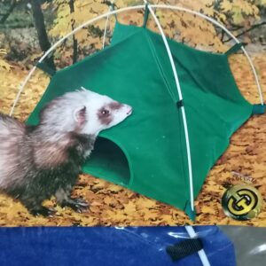 FERRET STORE PLAY TENT
