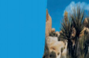 Desert/Blue Terrarium Poster 2 sides 1 roll of 15 meters