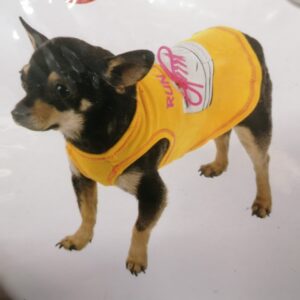 TOP 2011 RUN WITH ME CM.30