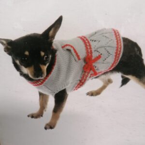 JERSEY DRESS GREY&RED CM.30