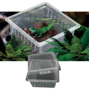 Plastic Breeding Box reptiles or insects XS 6.8x6.8x4.5 cm